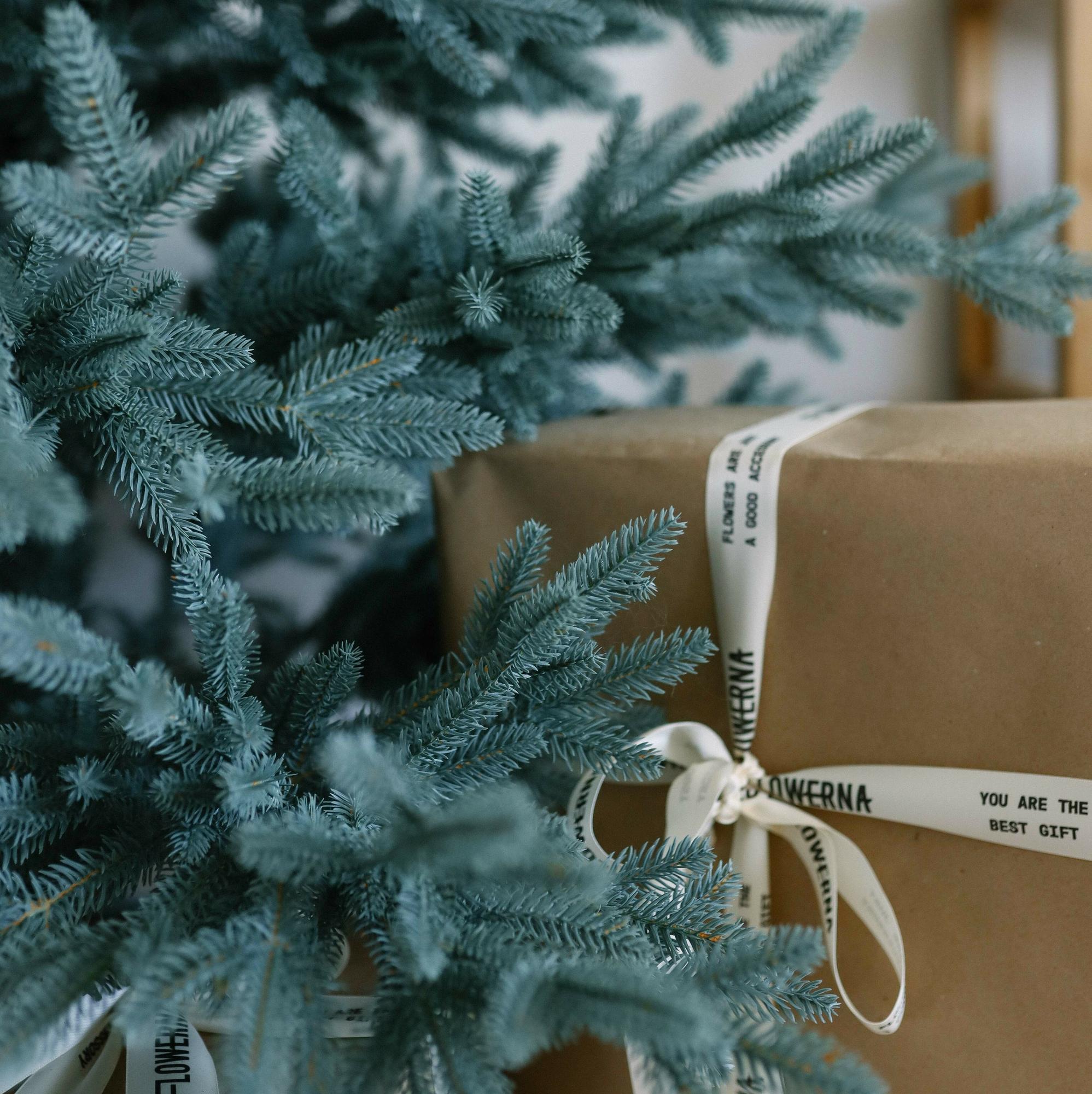 Ель "Адель" без декора