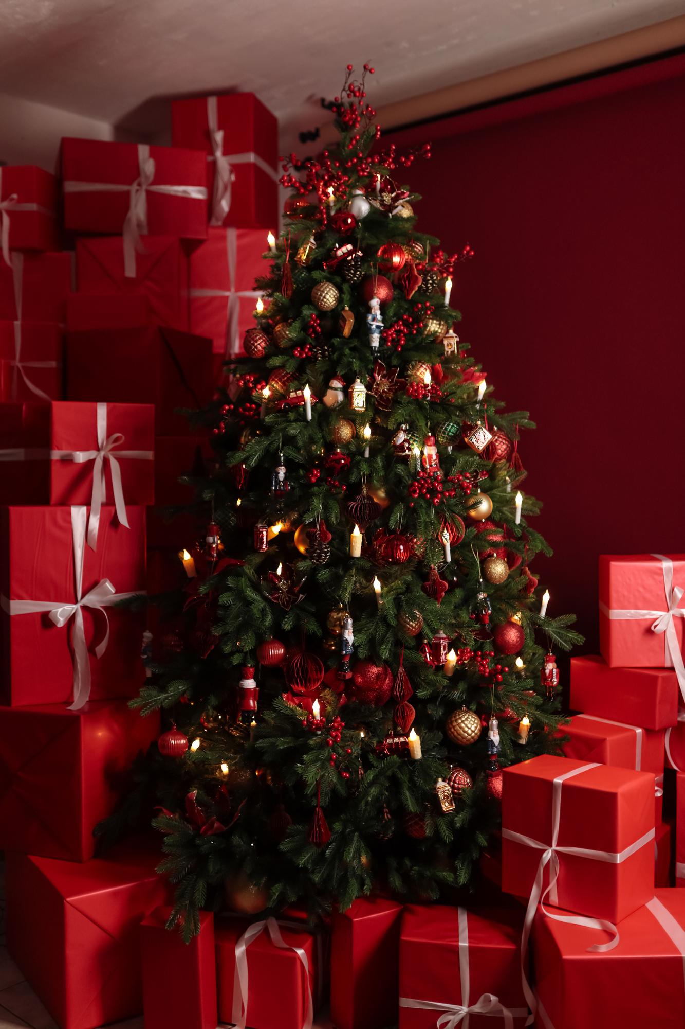 Ель "Пиренейская" в гамме "Щелкунчик 2.0"