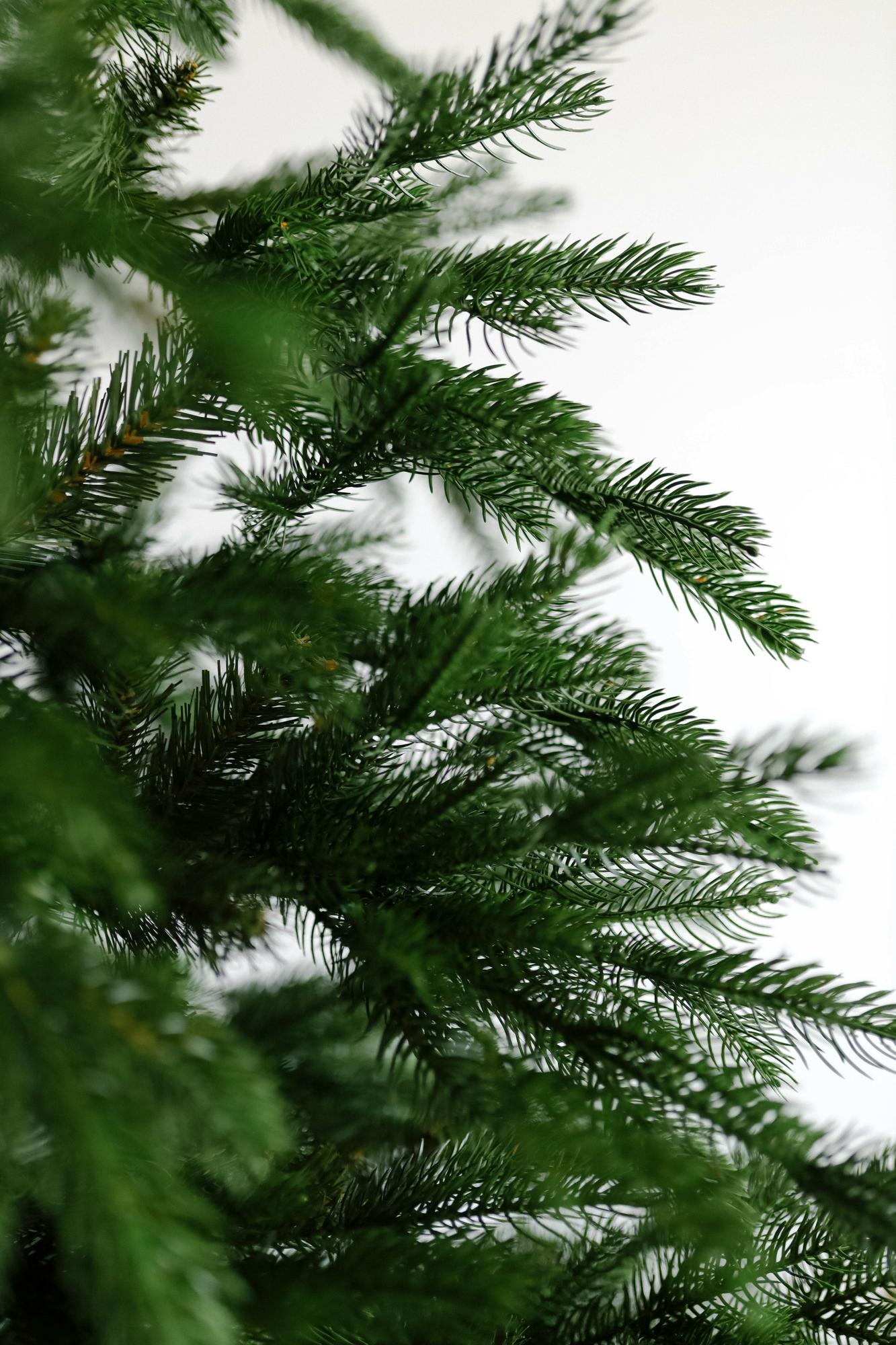 Ель "Пиренейская" без декора