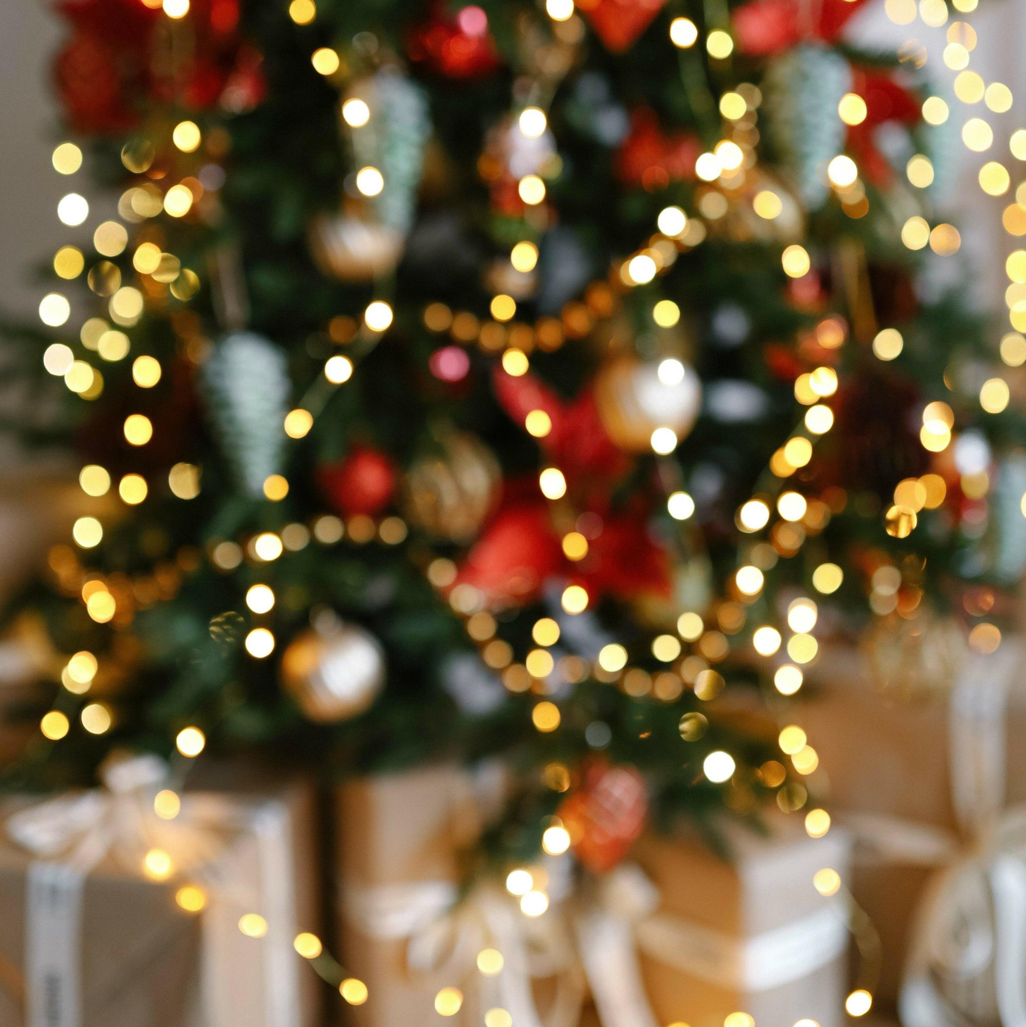 Ель "Фаворит" в гамме "Щелкунчик"