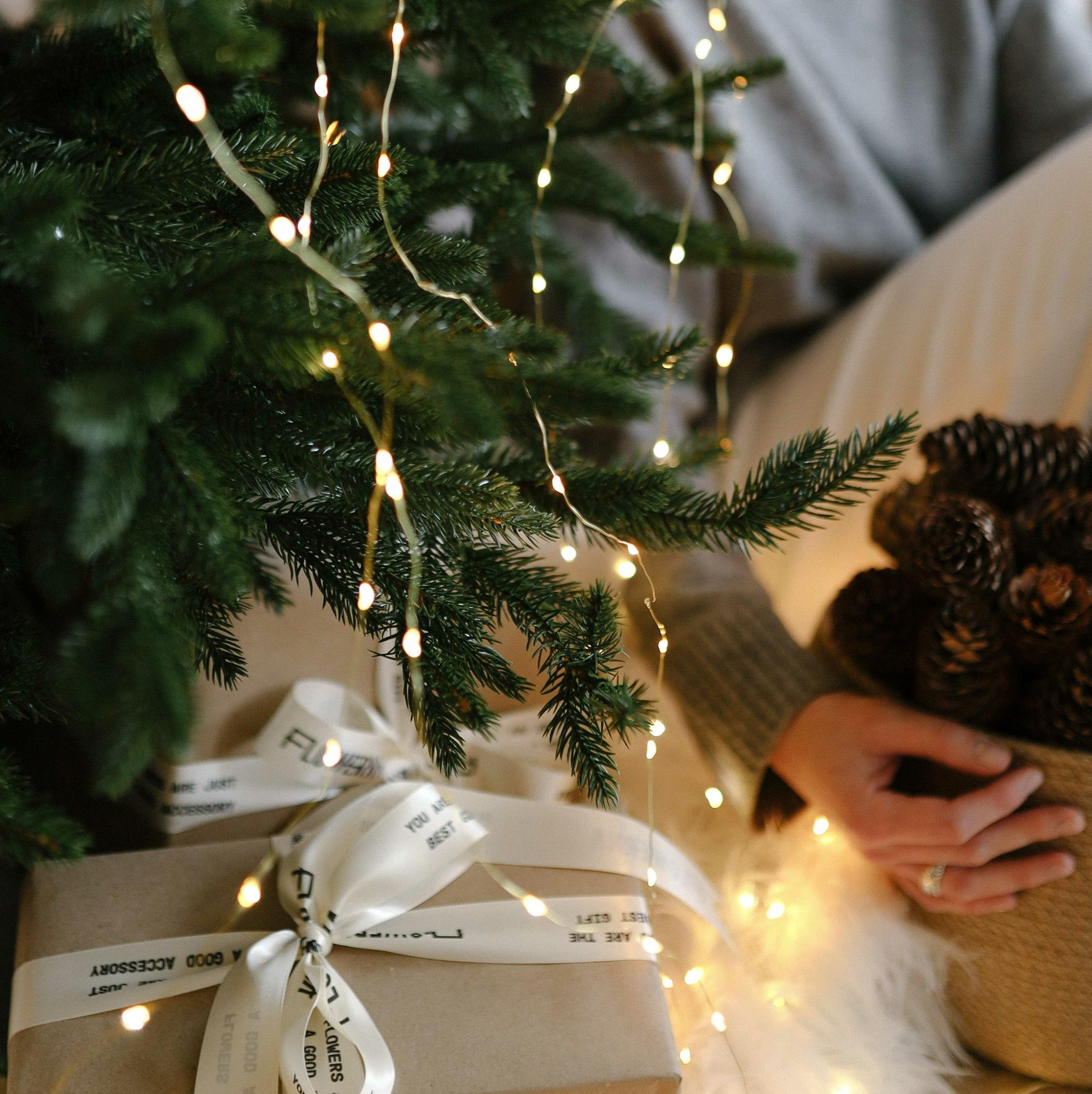 Ель "Фаворит" без декора