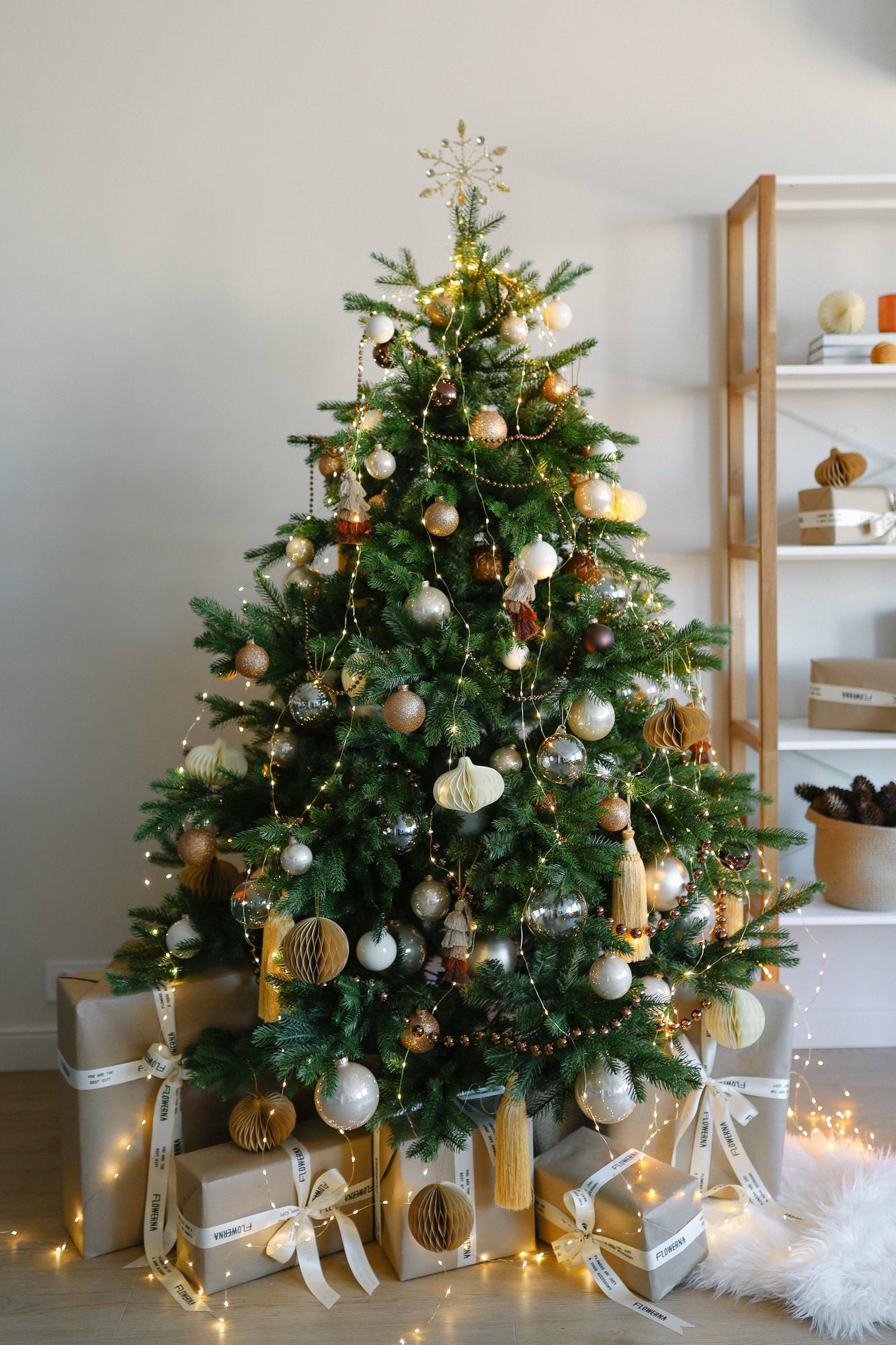 Елка Офелия Латте Крем Брюле