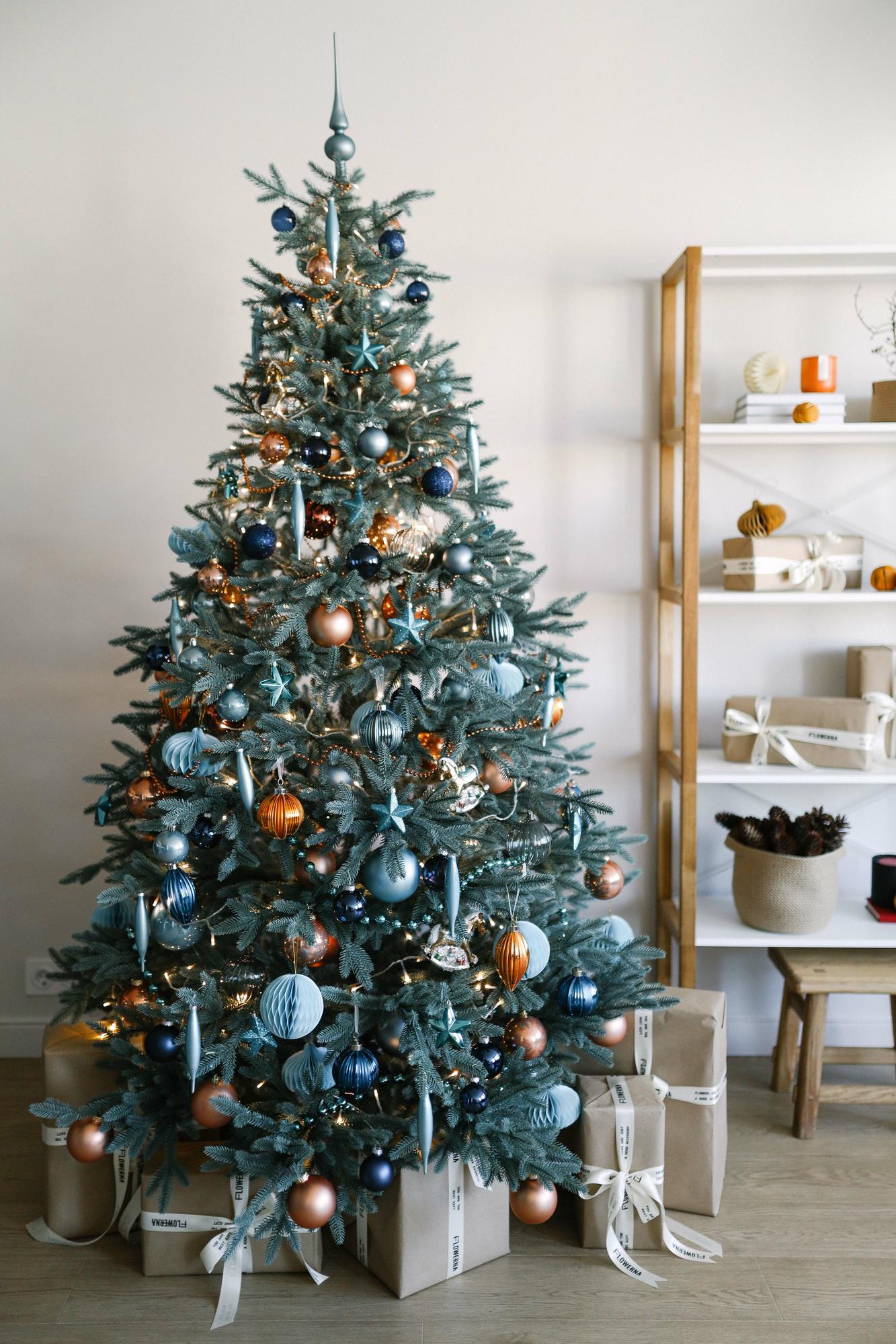 Ель "Адель" в гамме "Холодное сердце"