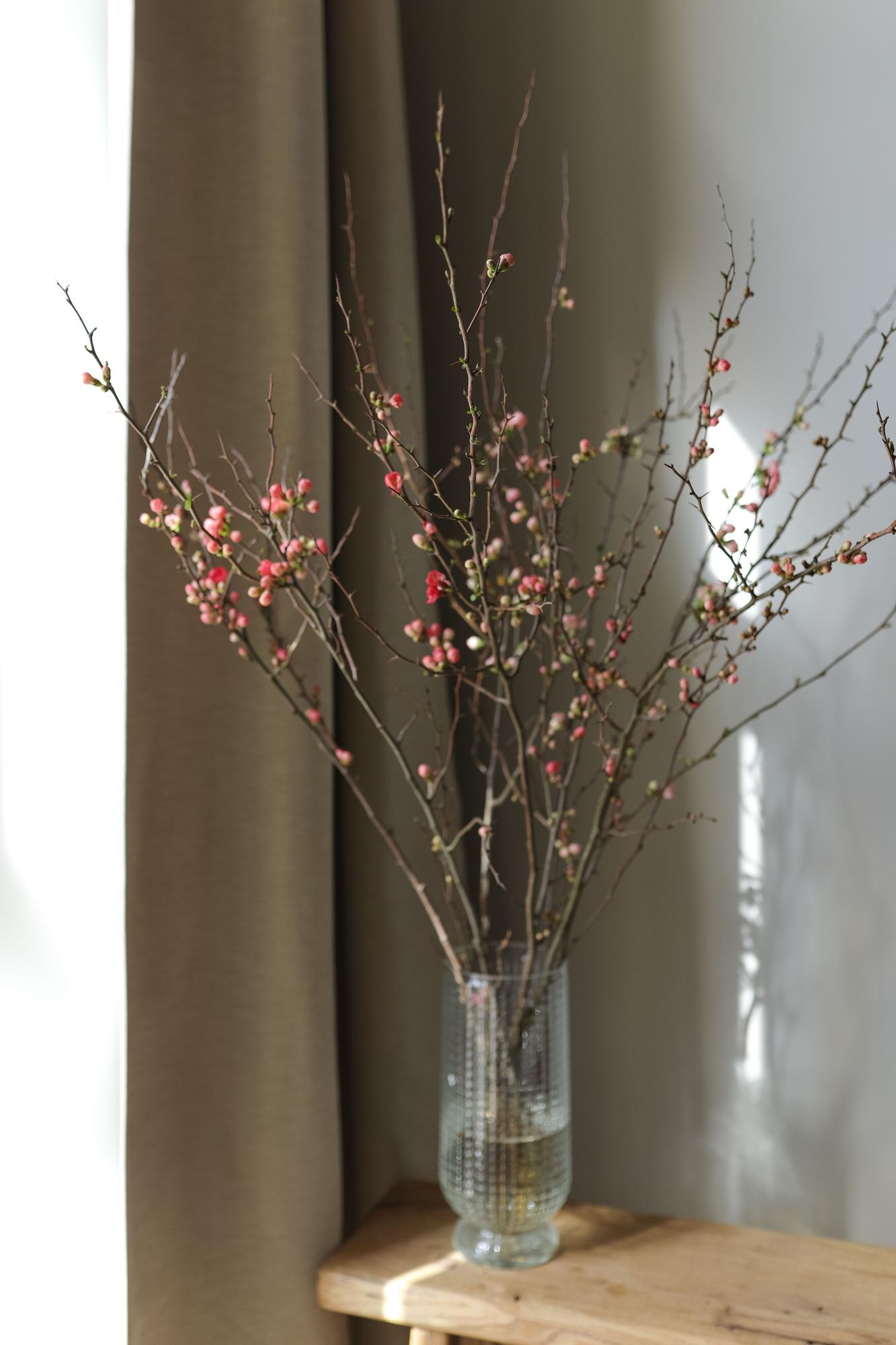 Цветущие ветки хеномелеса