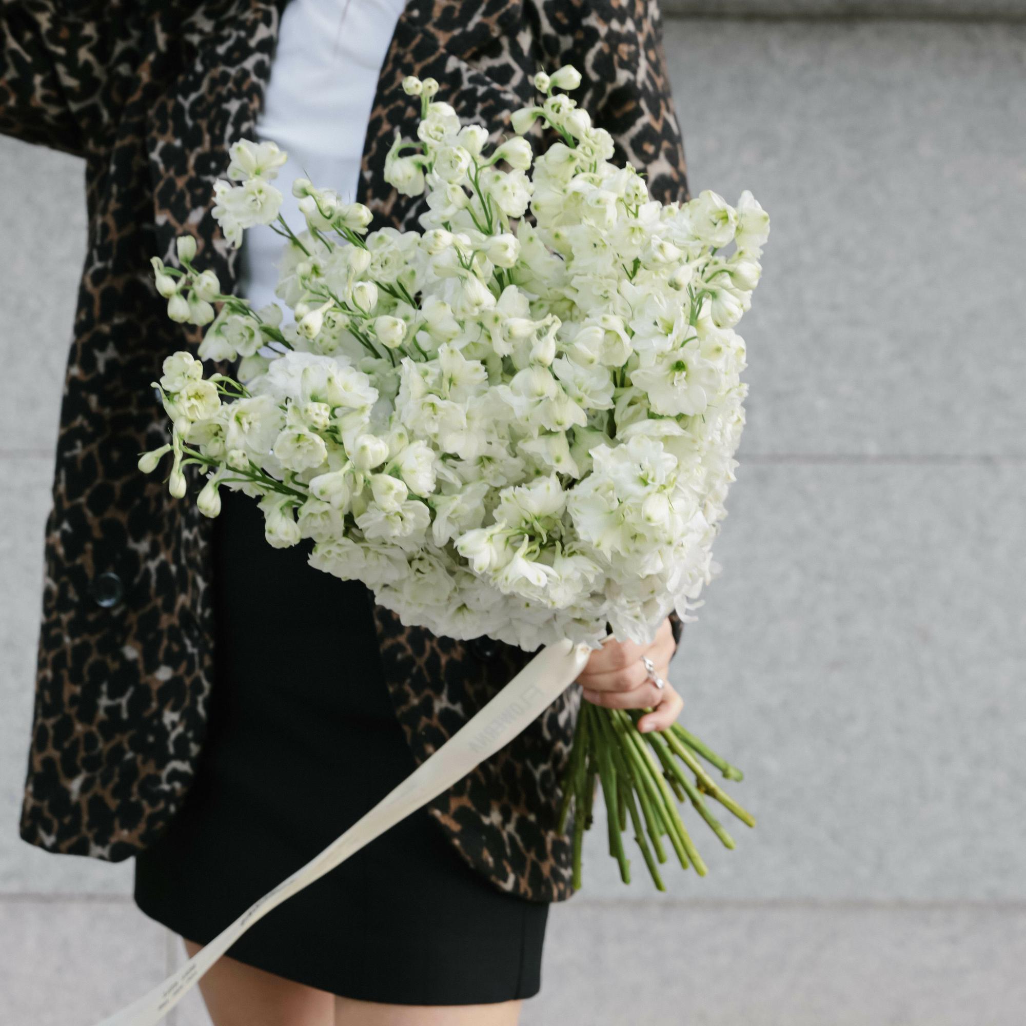 Дельфиниум белый