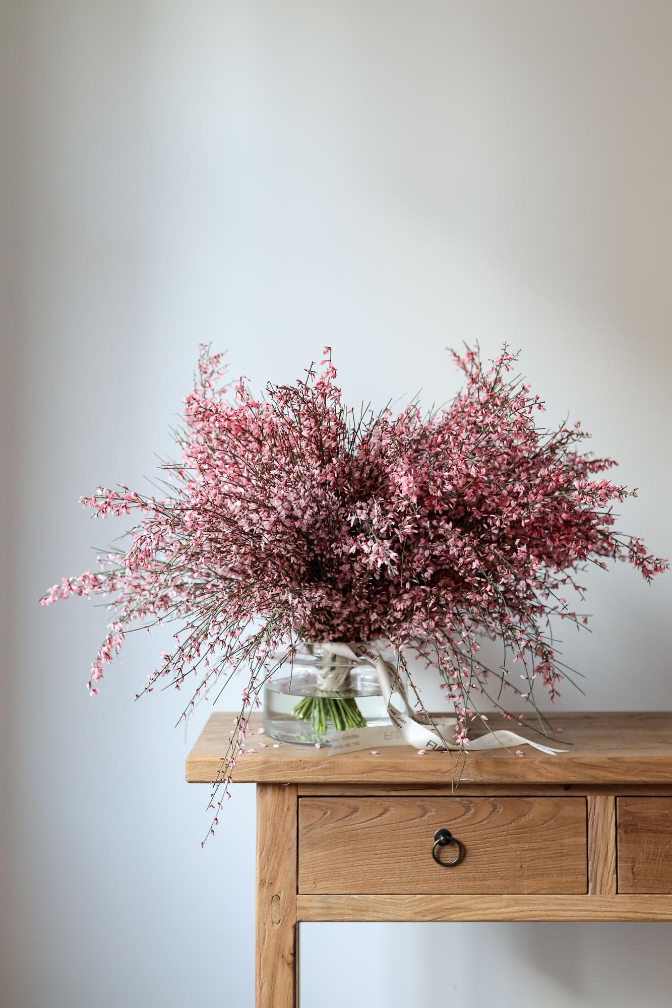 Гениста розовая