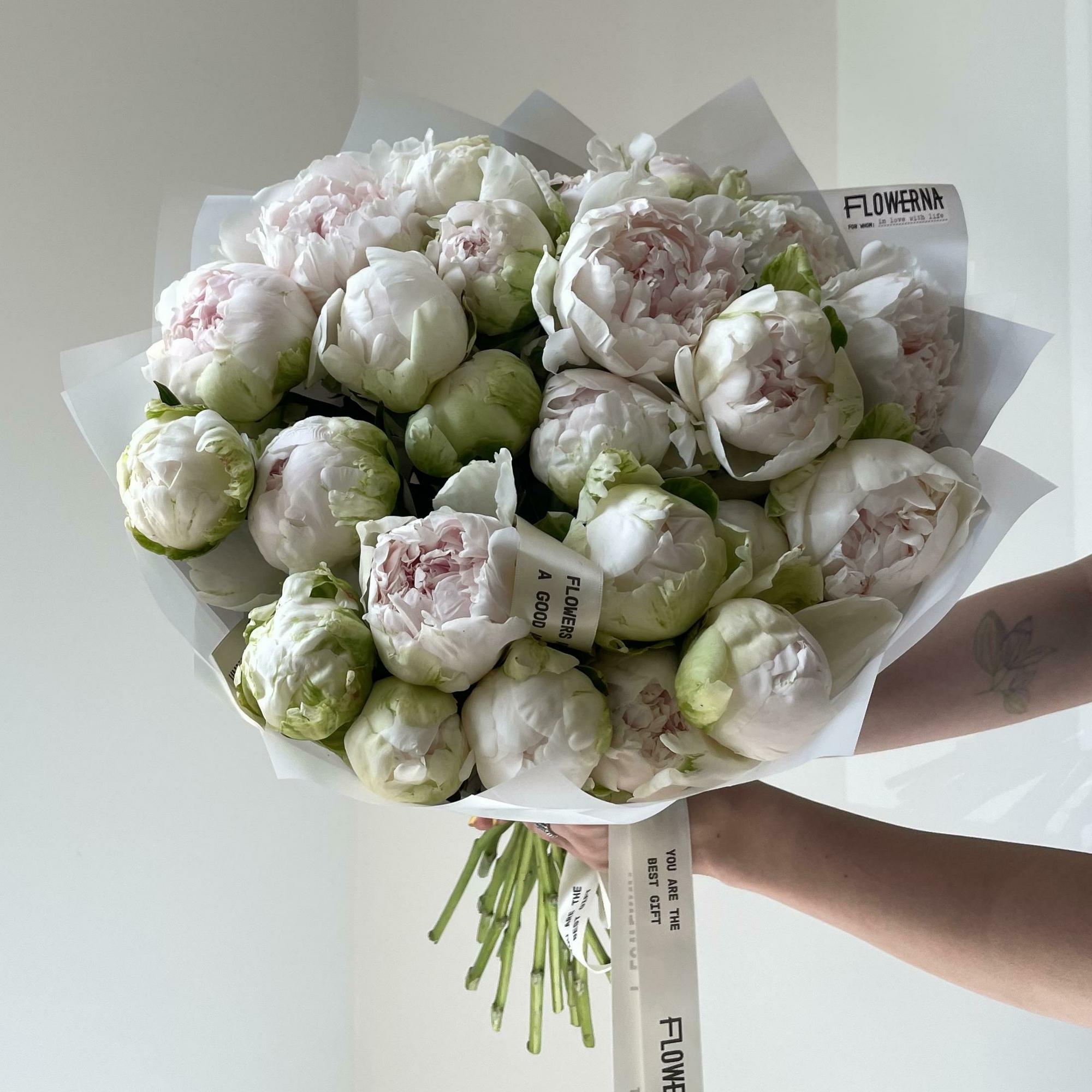 Пионы "Brother Chuck фермерские"