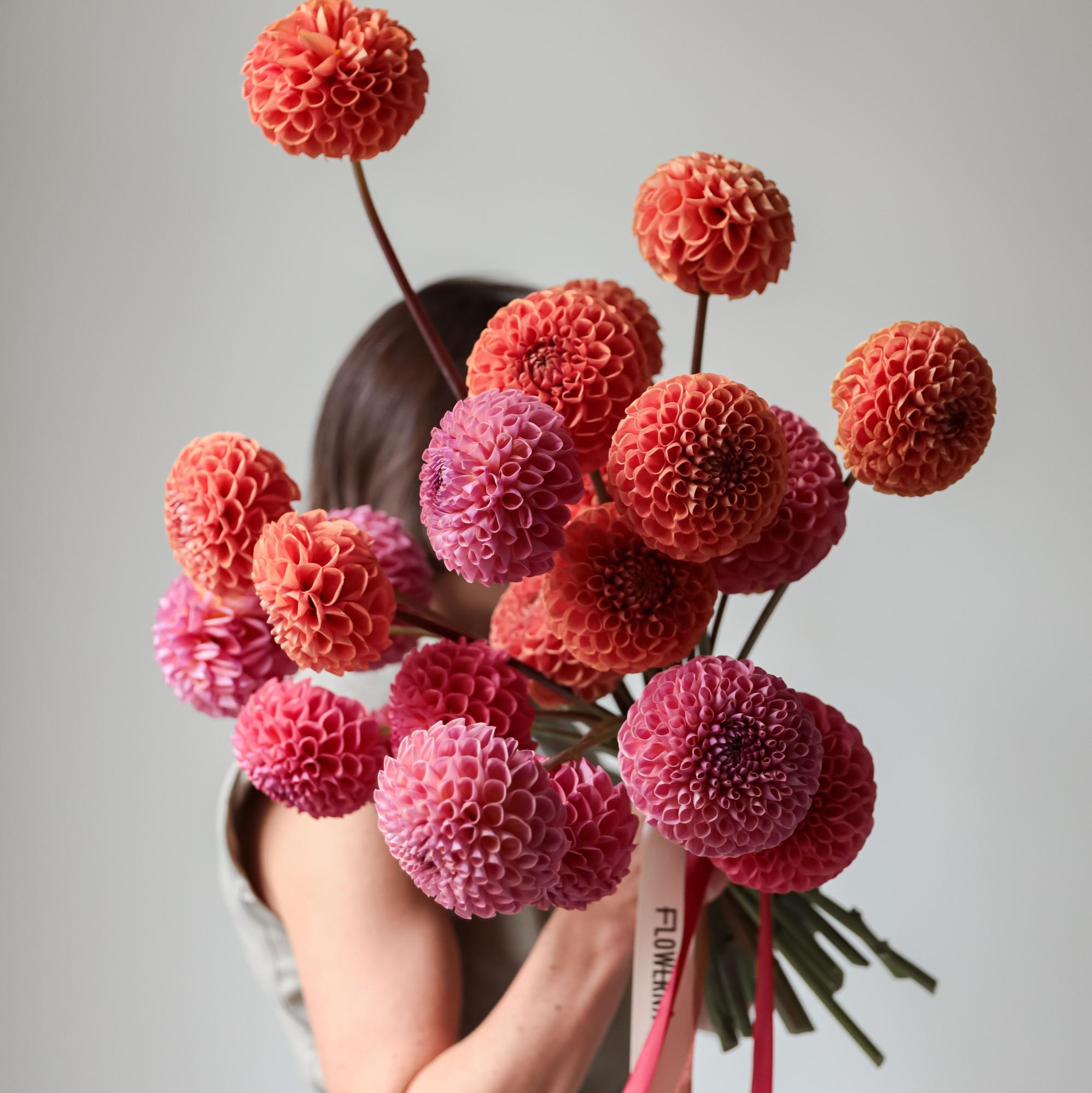 Микс георгин