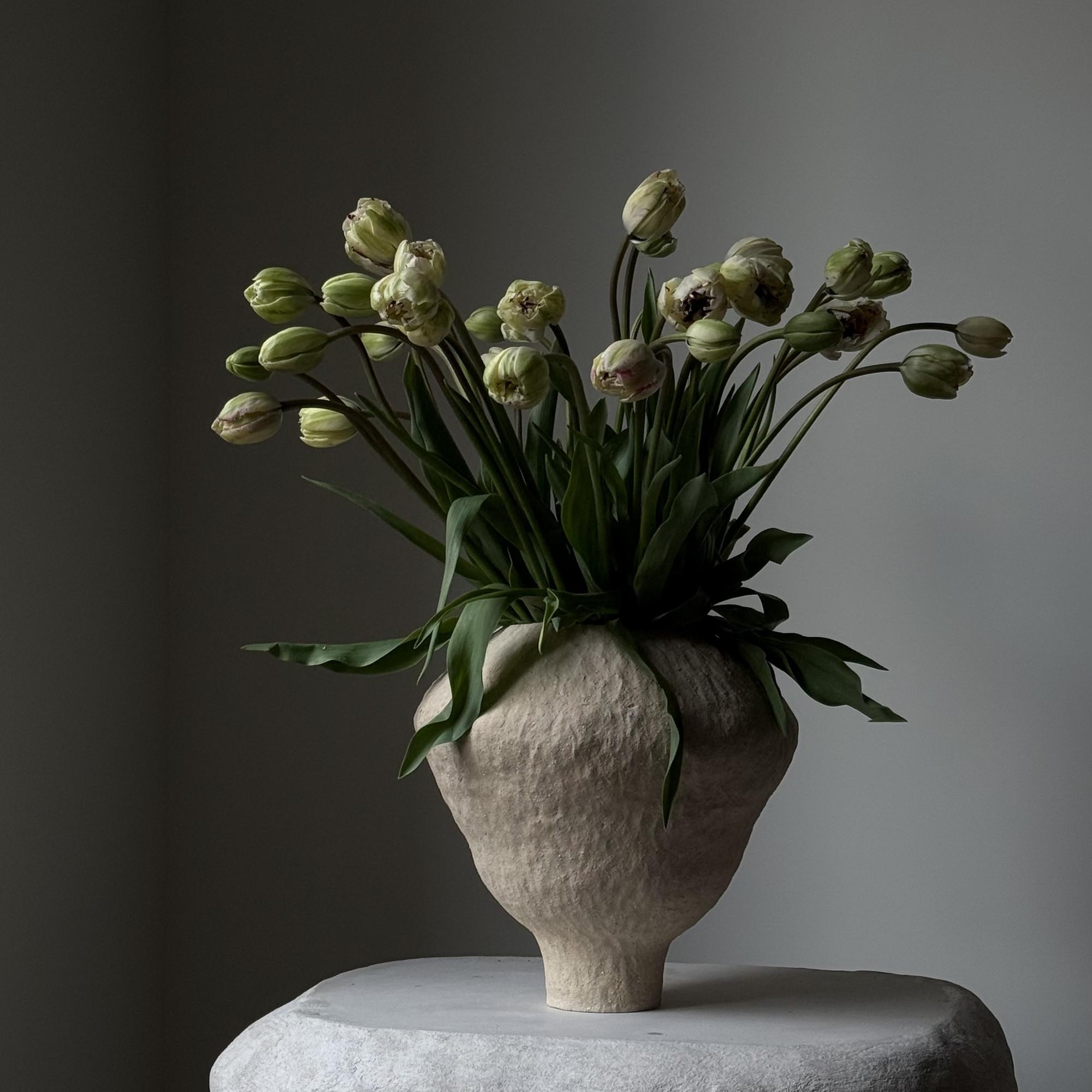 Французские тюльпаны "Jonquieres"