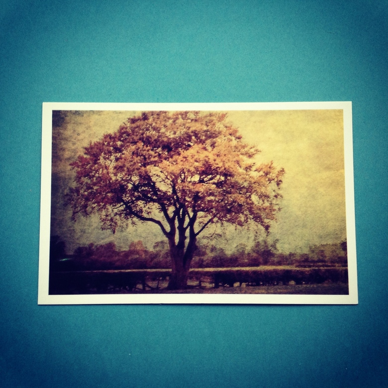 Осеннее дерево