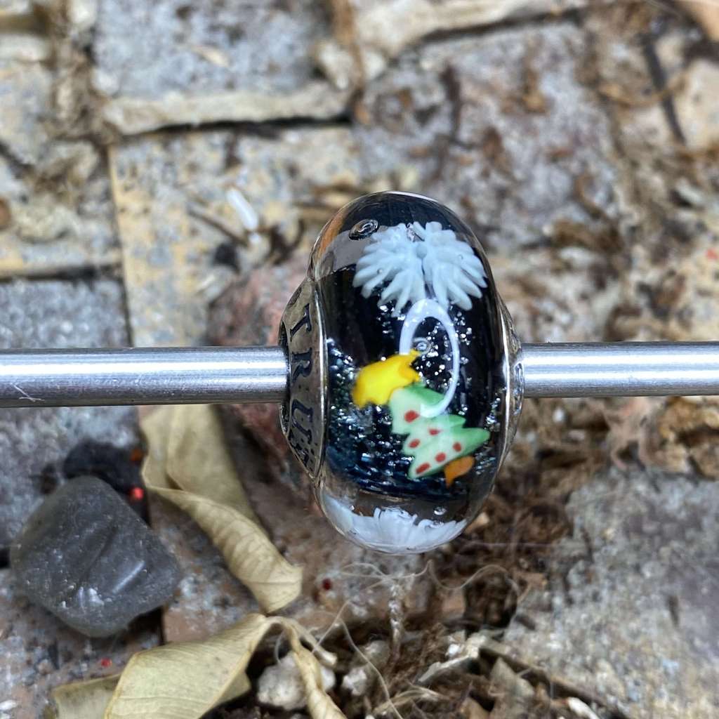 AQUARIUM  12 Christmas