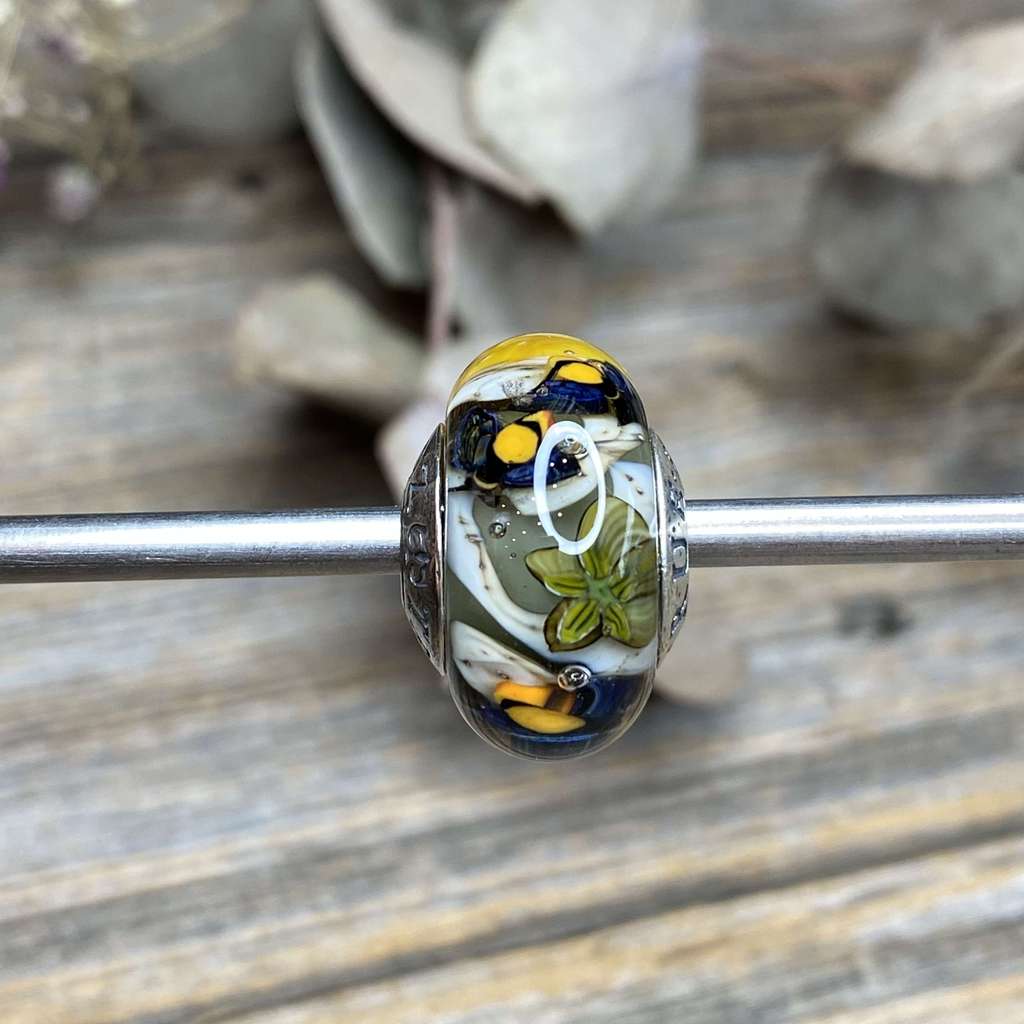 AQUARIUM 51 honeycomb