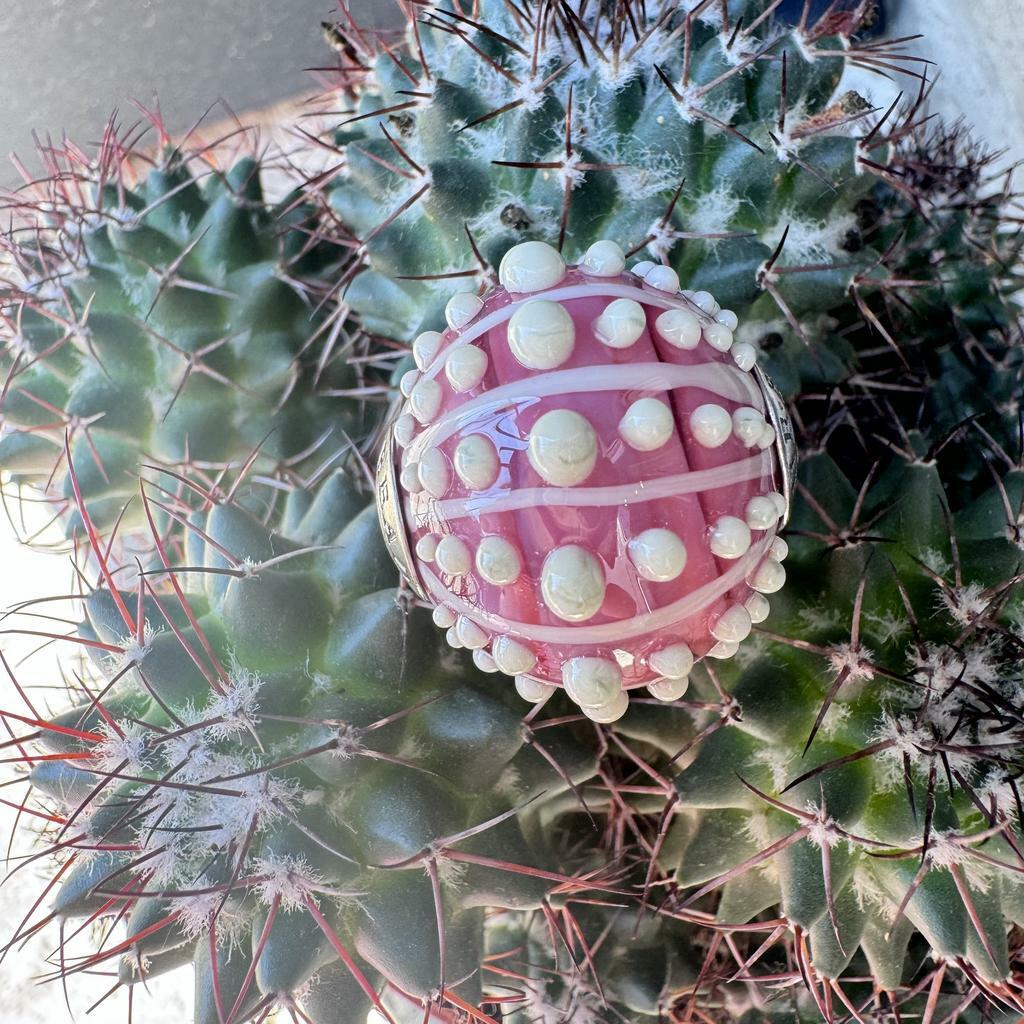 Big Pink Cactus