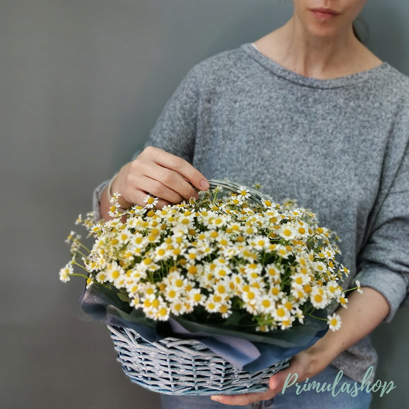 Корзина с ромашкой