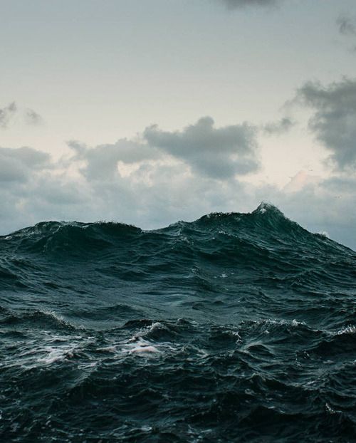 СЕТ ЗОВ МОРЯ