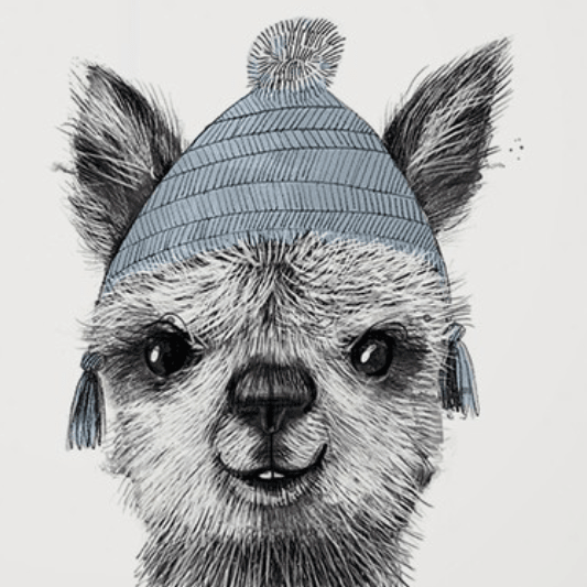 Постер Малыш альпака купить в интернет магазине