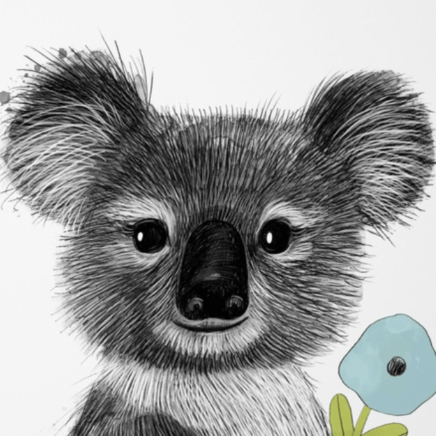 Постер Малыш коала купить в интернет магазине