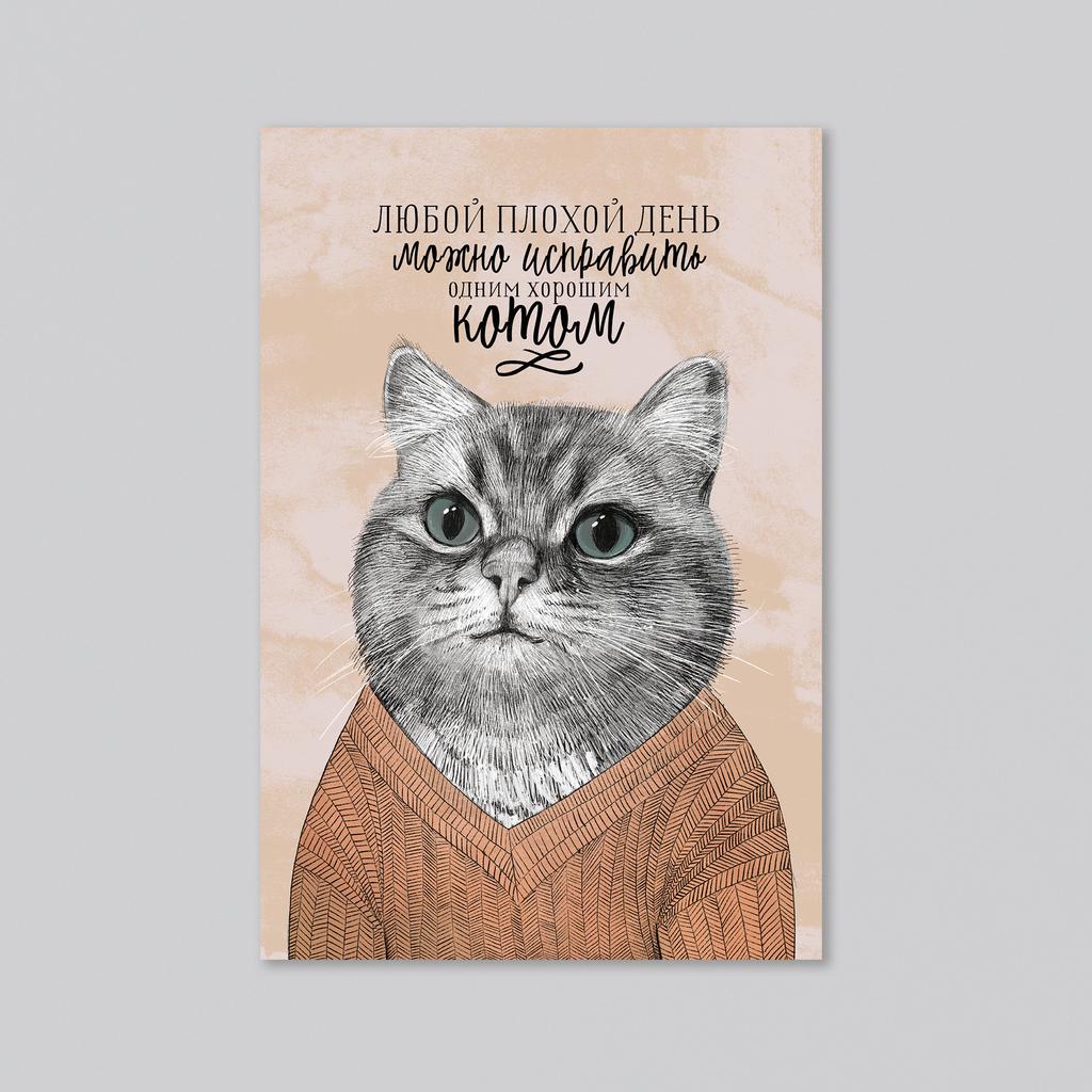 Хороший кот - оптовая открытка - 20 штук