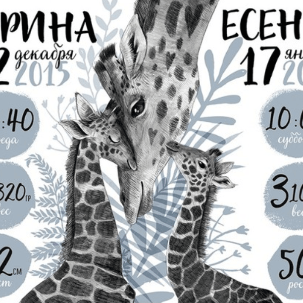 Постер - метрика Мама жираф с детьми в голубом цвете купить в интернет магазине