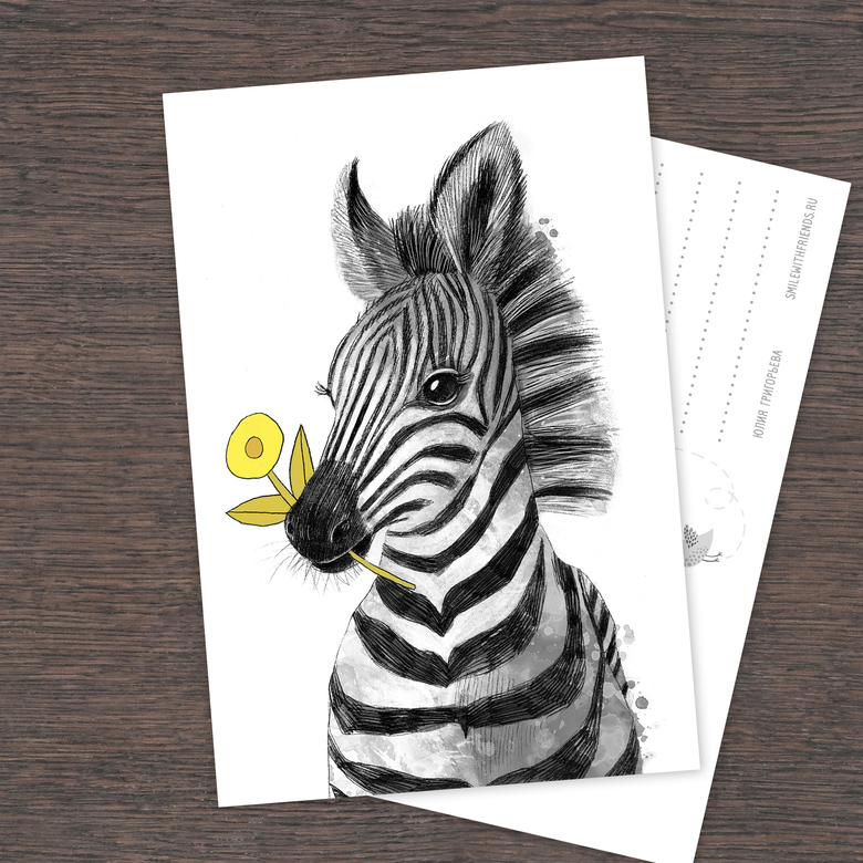 Малыш зебренок - открытка