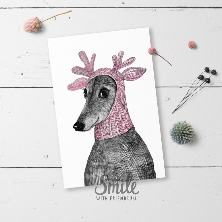 Левретка - открытка