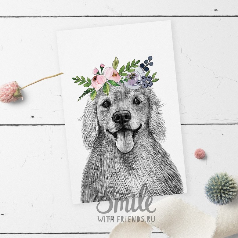 Золотистый ретривер с цветочками - открытка