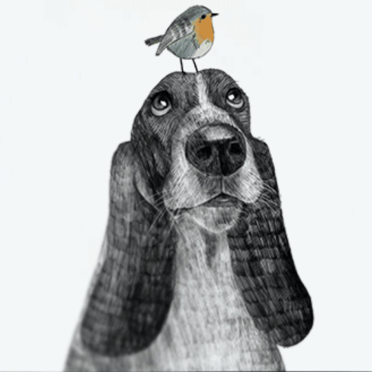 Постер Собака и шутливая известная цитата купить в интернет магазине