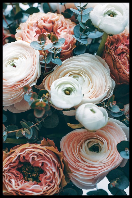 Постер Розовые И Белые Цветы