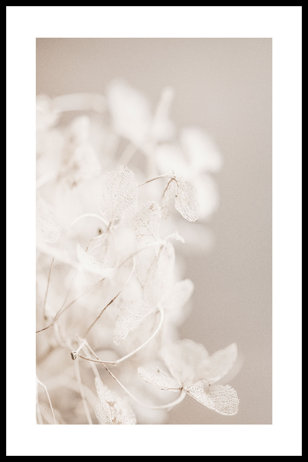 Постер Бежевые Листья #1