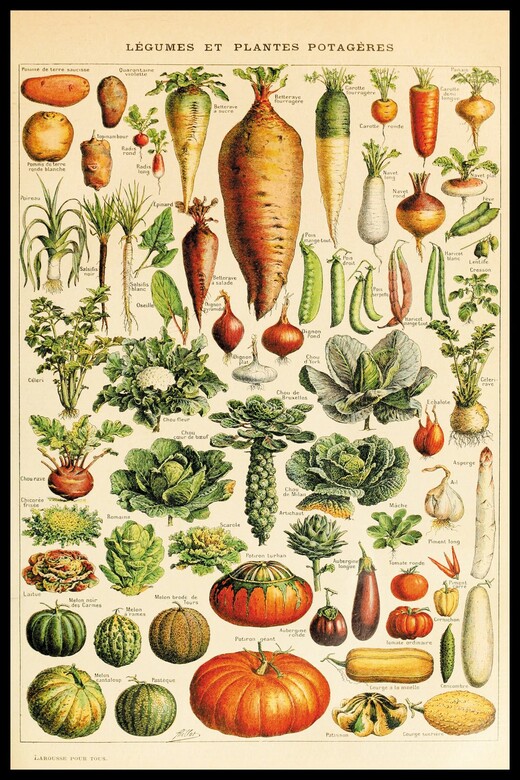 Винтажный Постер Овощи