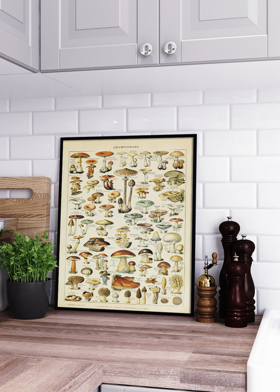 Винтажный Постер Грибы