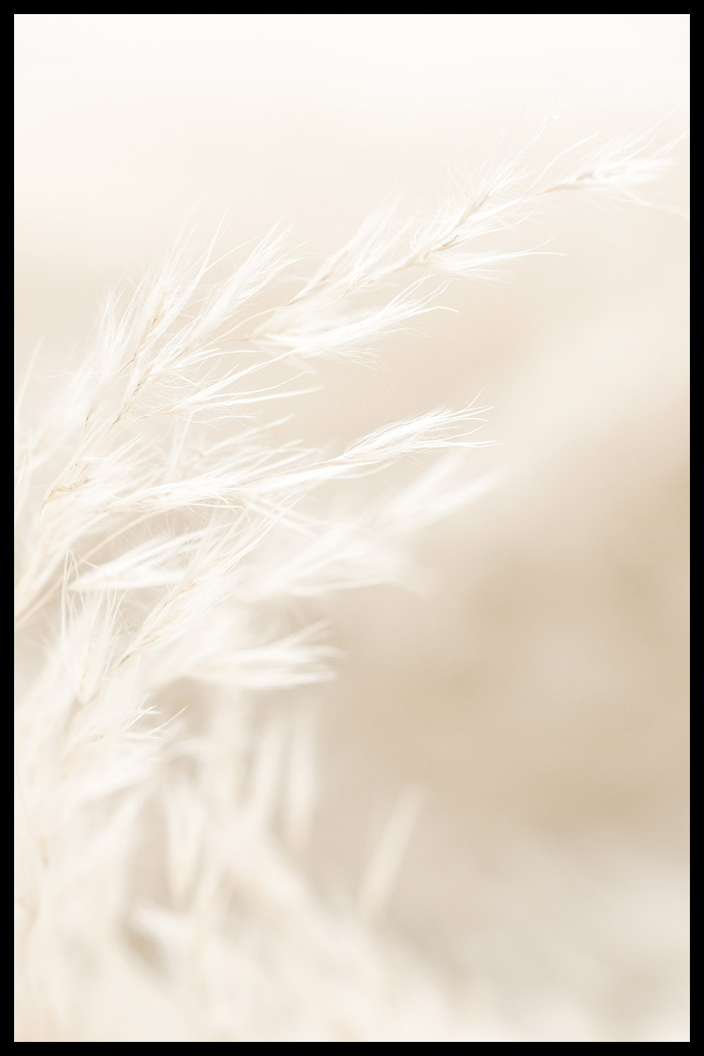 Постер Нежно-Бежевые Сухоцветы #1