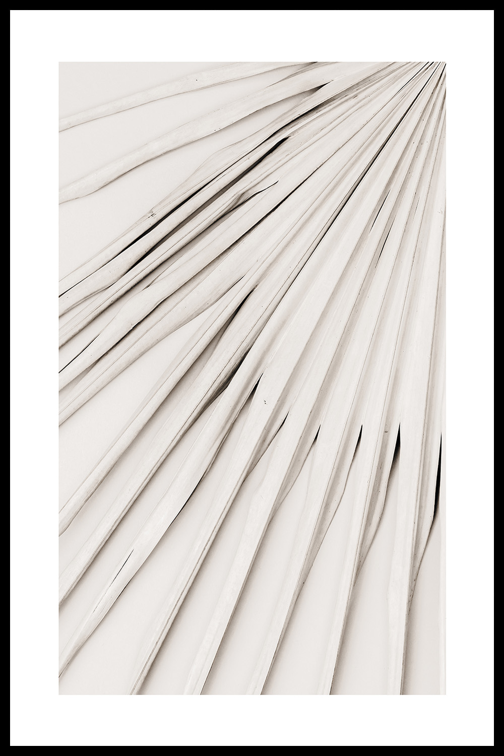 Постер Бежевый Лист Пальмы #2