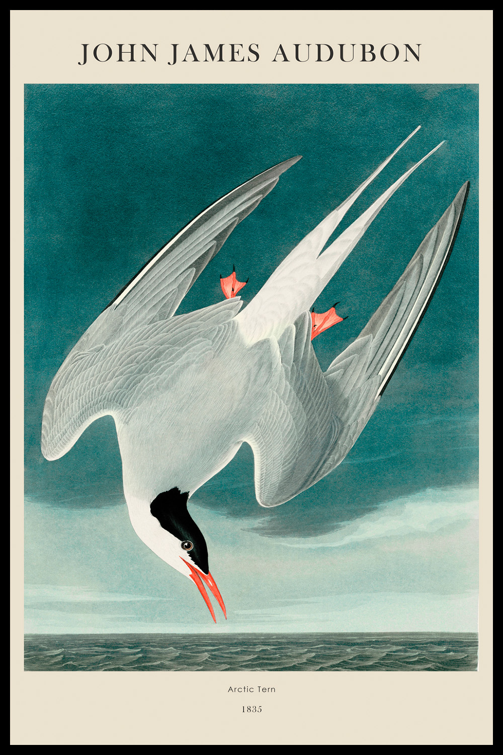Постер J.J.Audubon #1