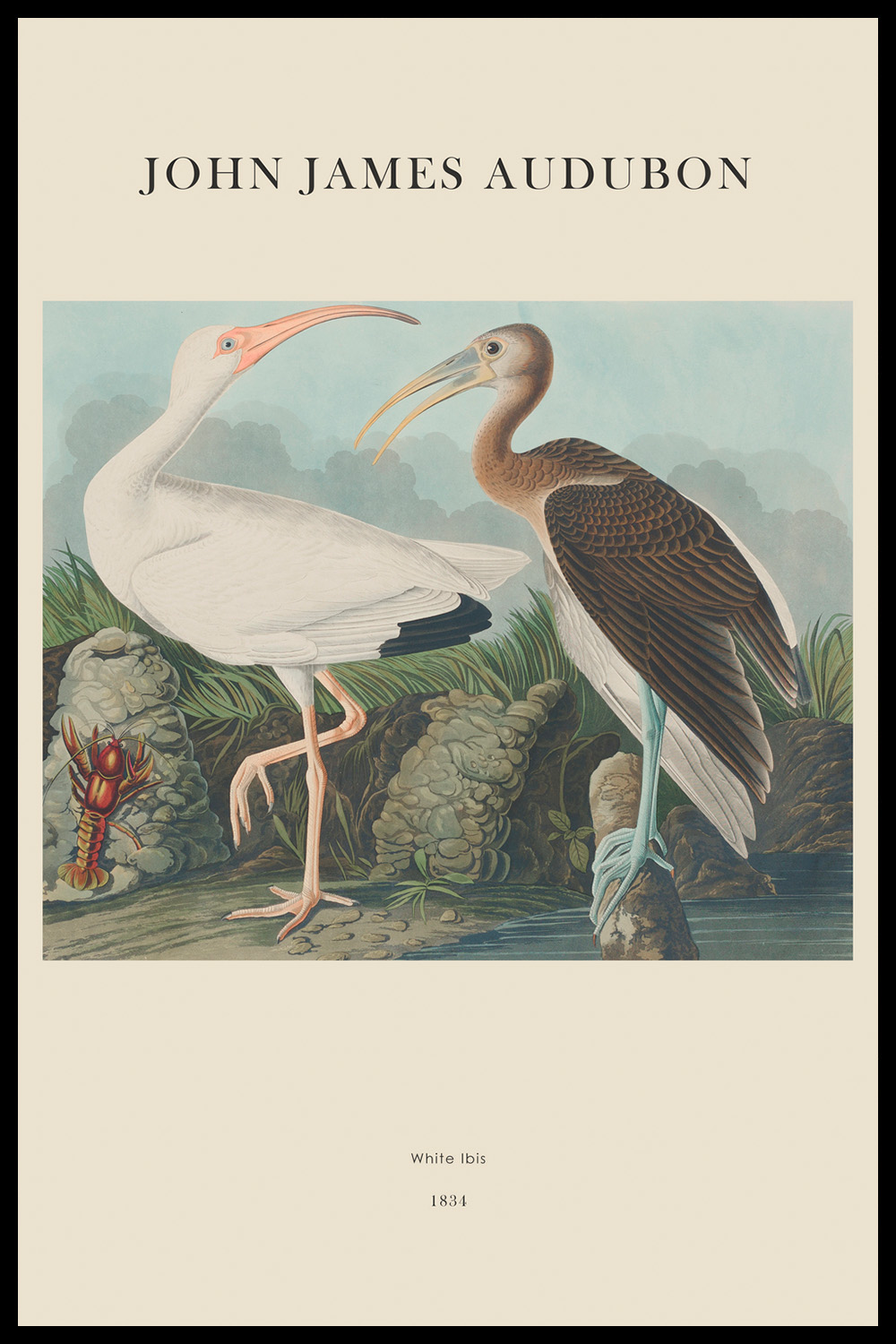 Постер J.J.Audubon #2