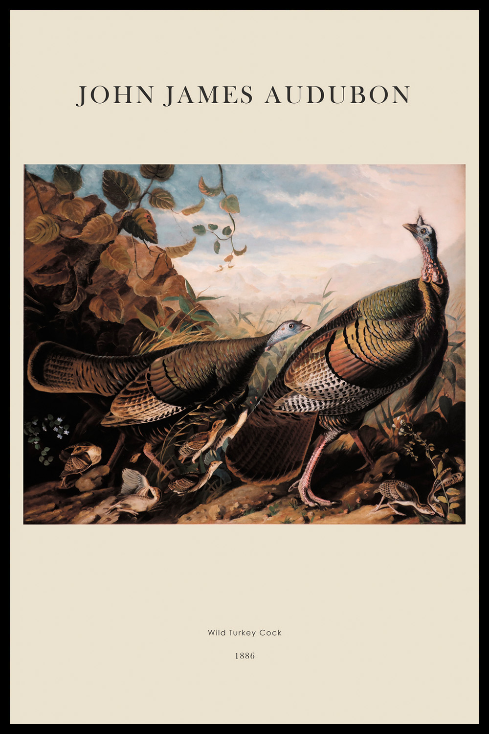Постер J.J.Audubon #3