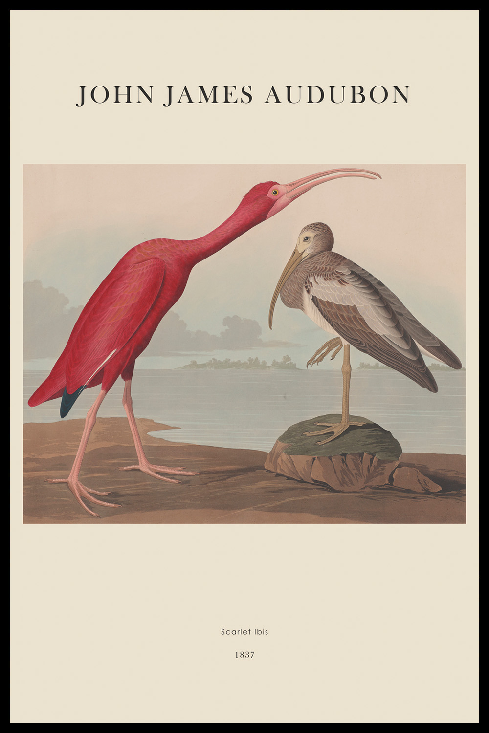 Постер J.J.Audubon #4