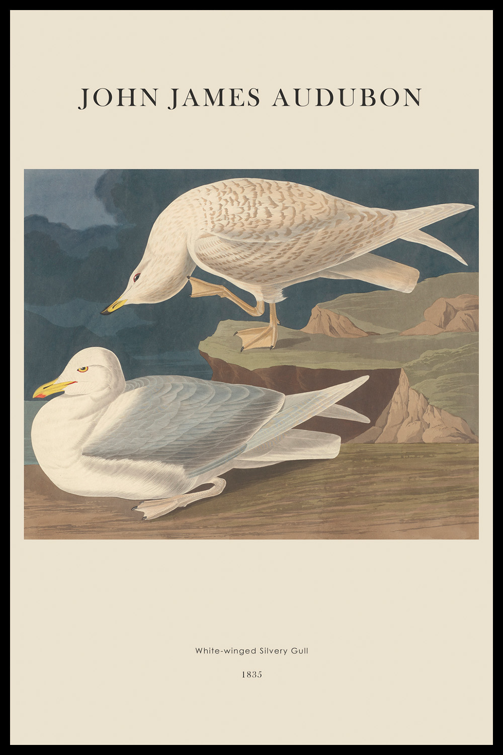 Постер J.J.Audubon #5