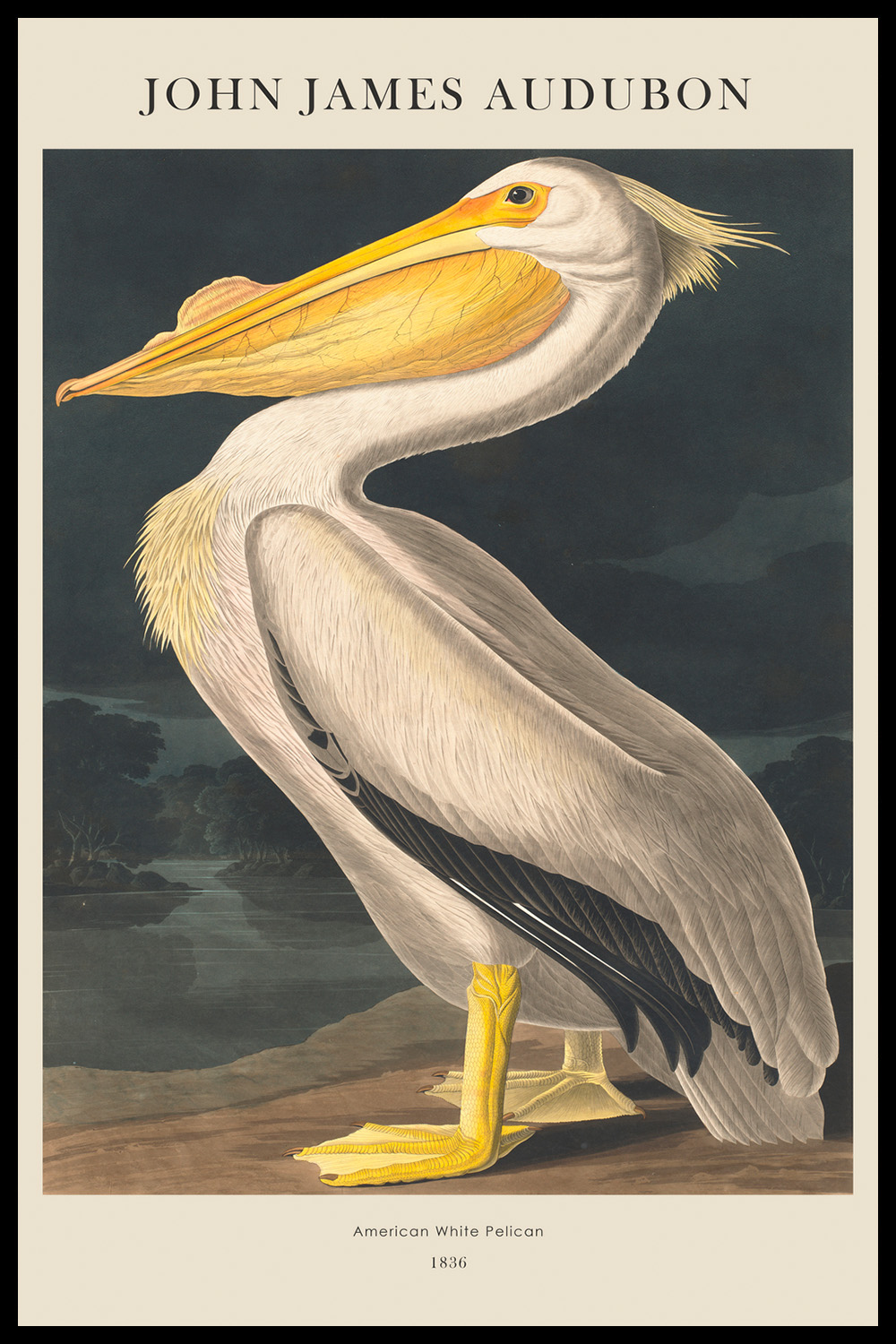 Постер J.J.Audubon #6