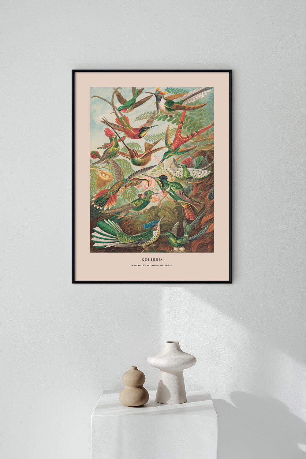Постер Колибри