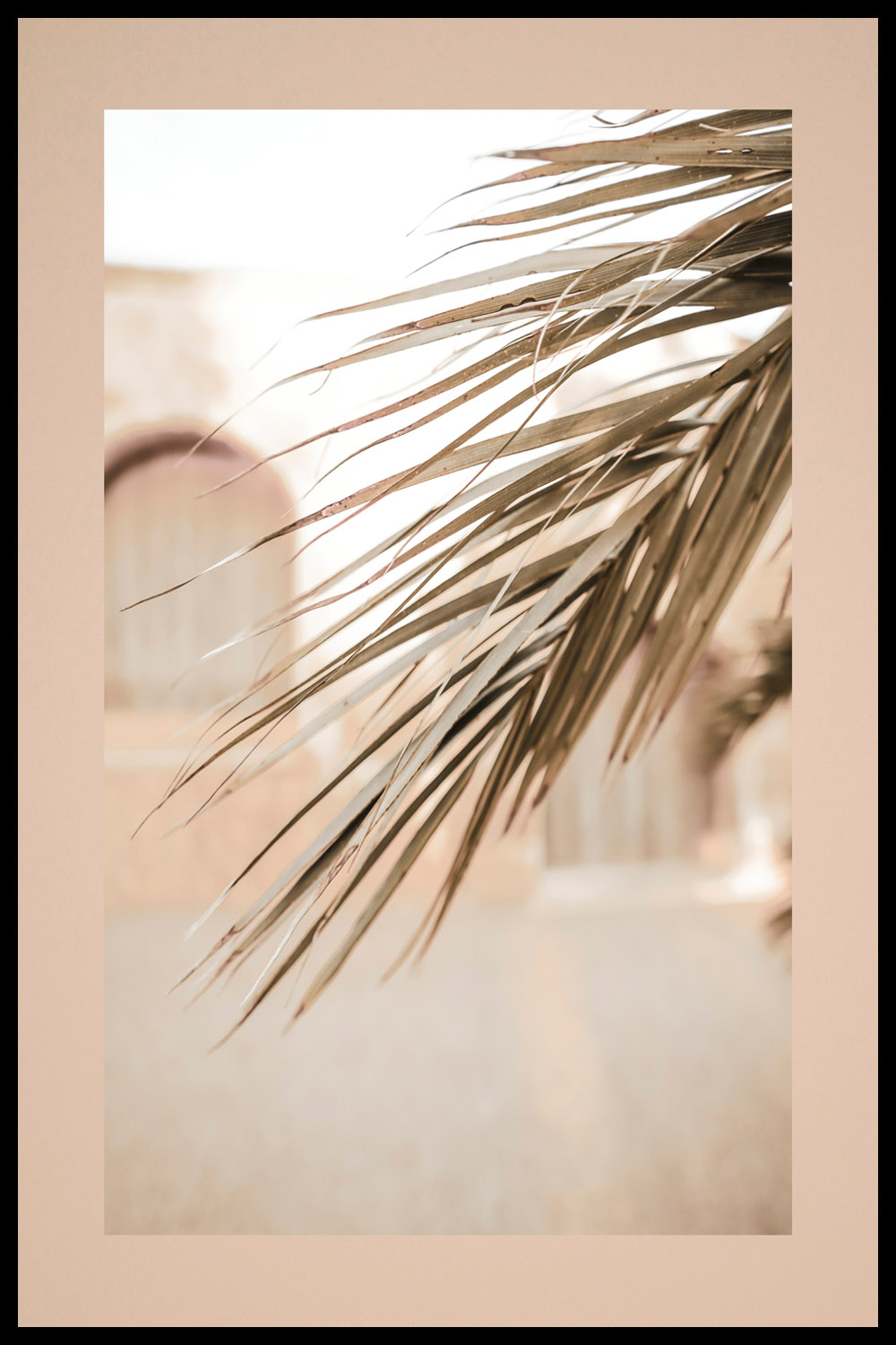 Постер Ветка Пальмы