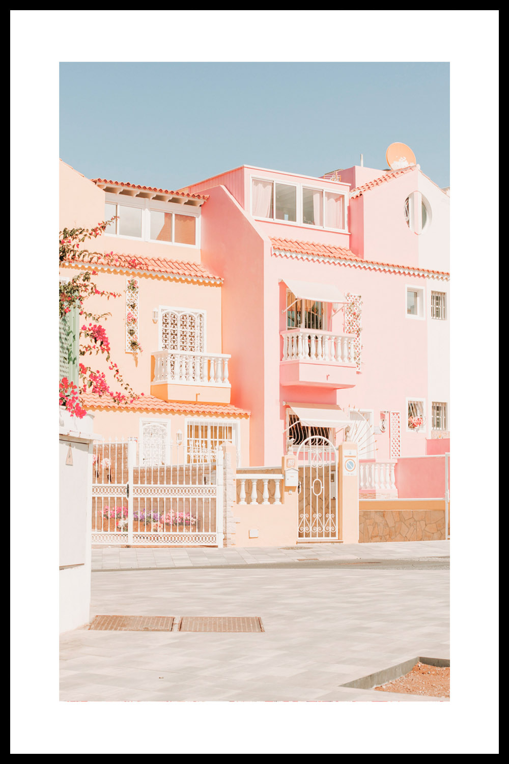 Постер Розовый Фасад с Цветами