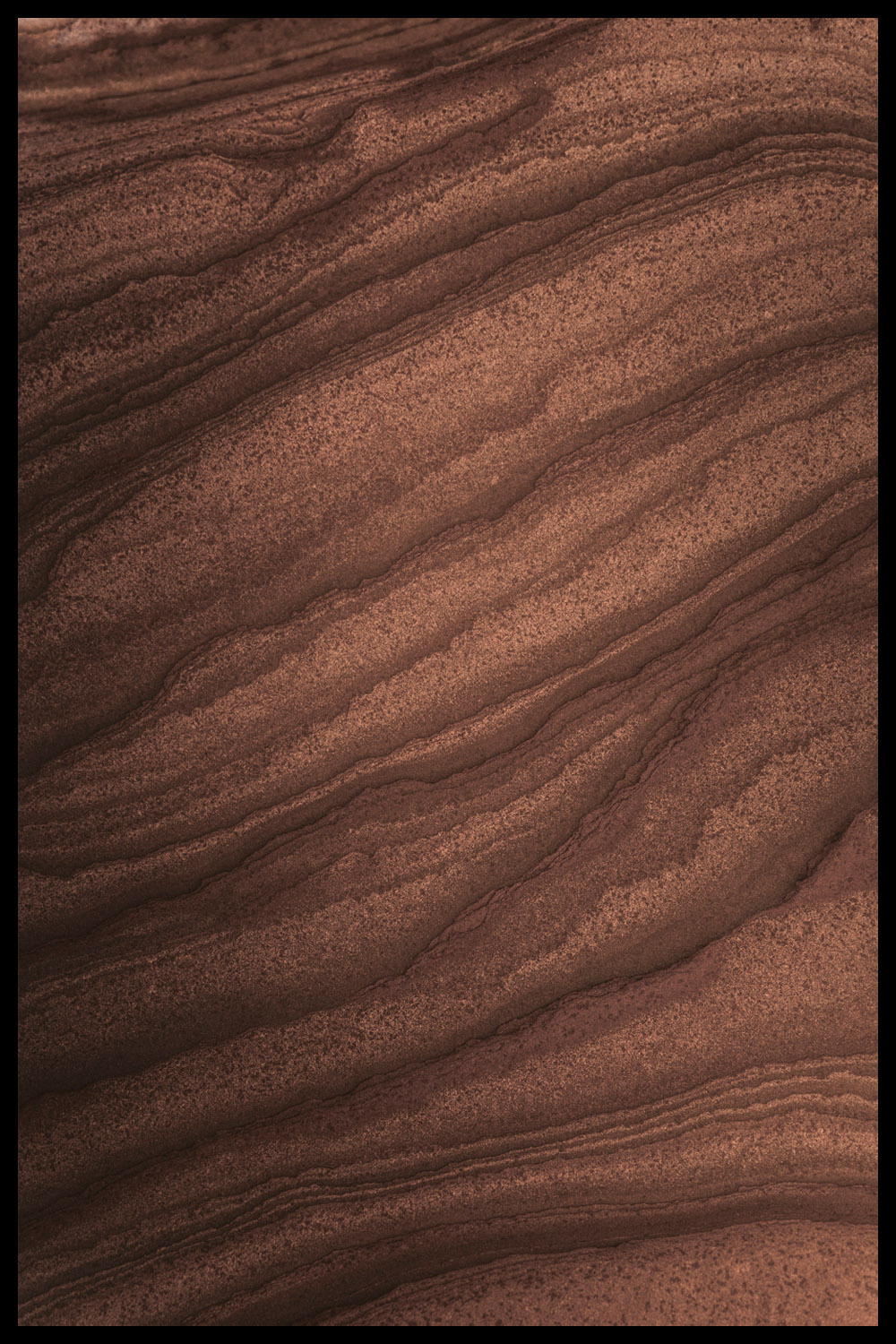 Постер Коричневые Линии