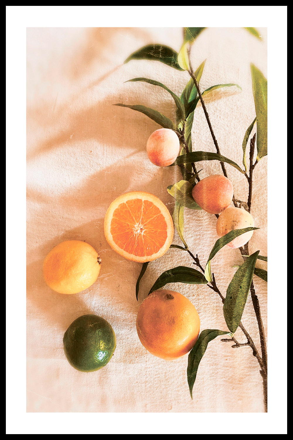 Постер Цитрусы И Зеленая Ветка
