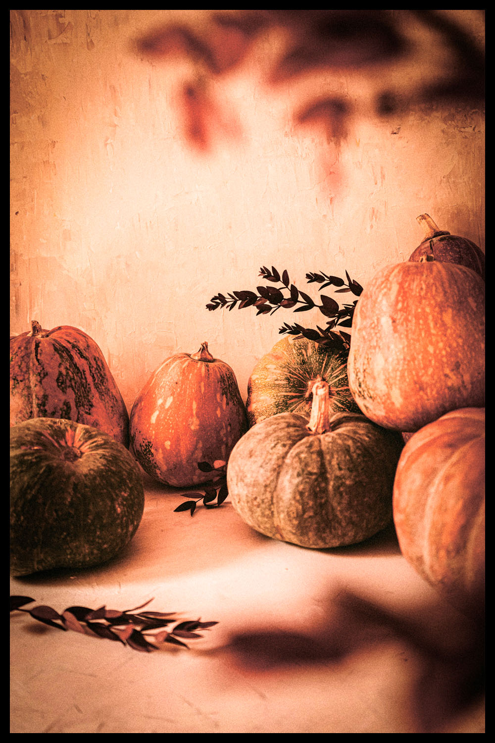 Постер Тыквы #2