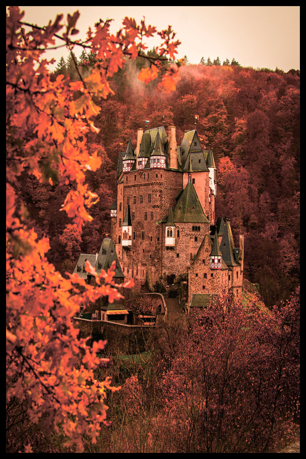 Постер Замок В Осеннем Лесу