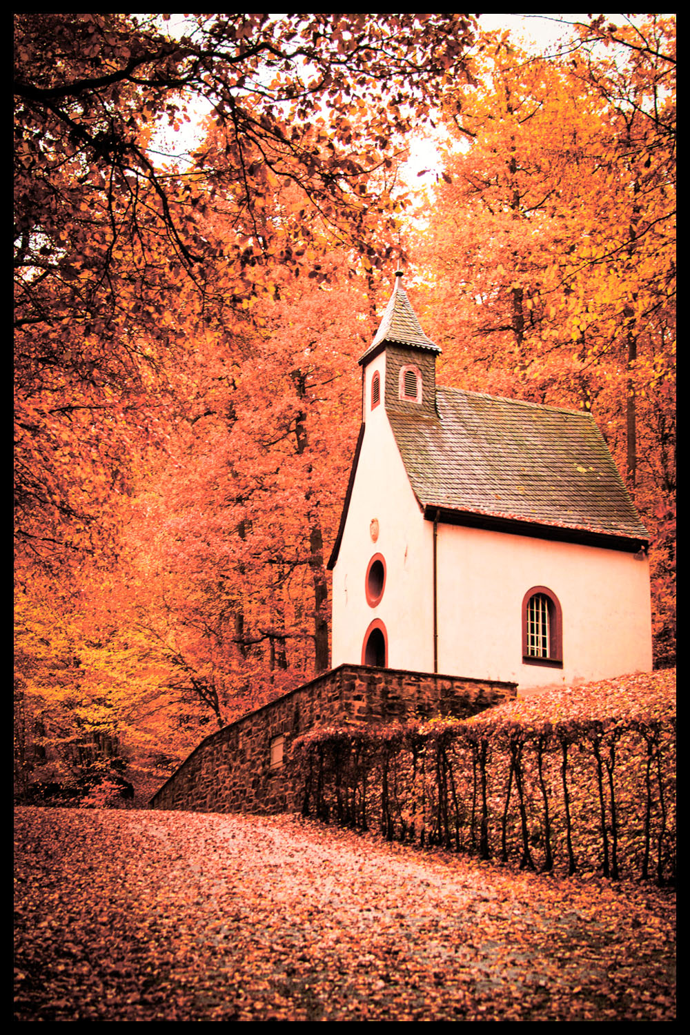 Постер Дом В Осеннем Лесу