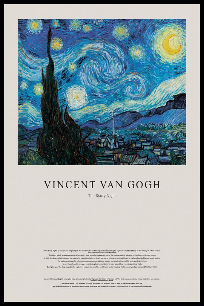 Постер Vincent van Gogh The Starry Night