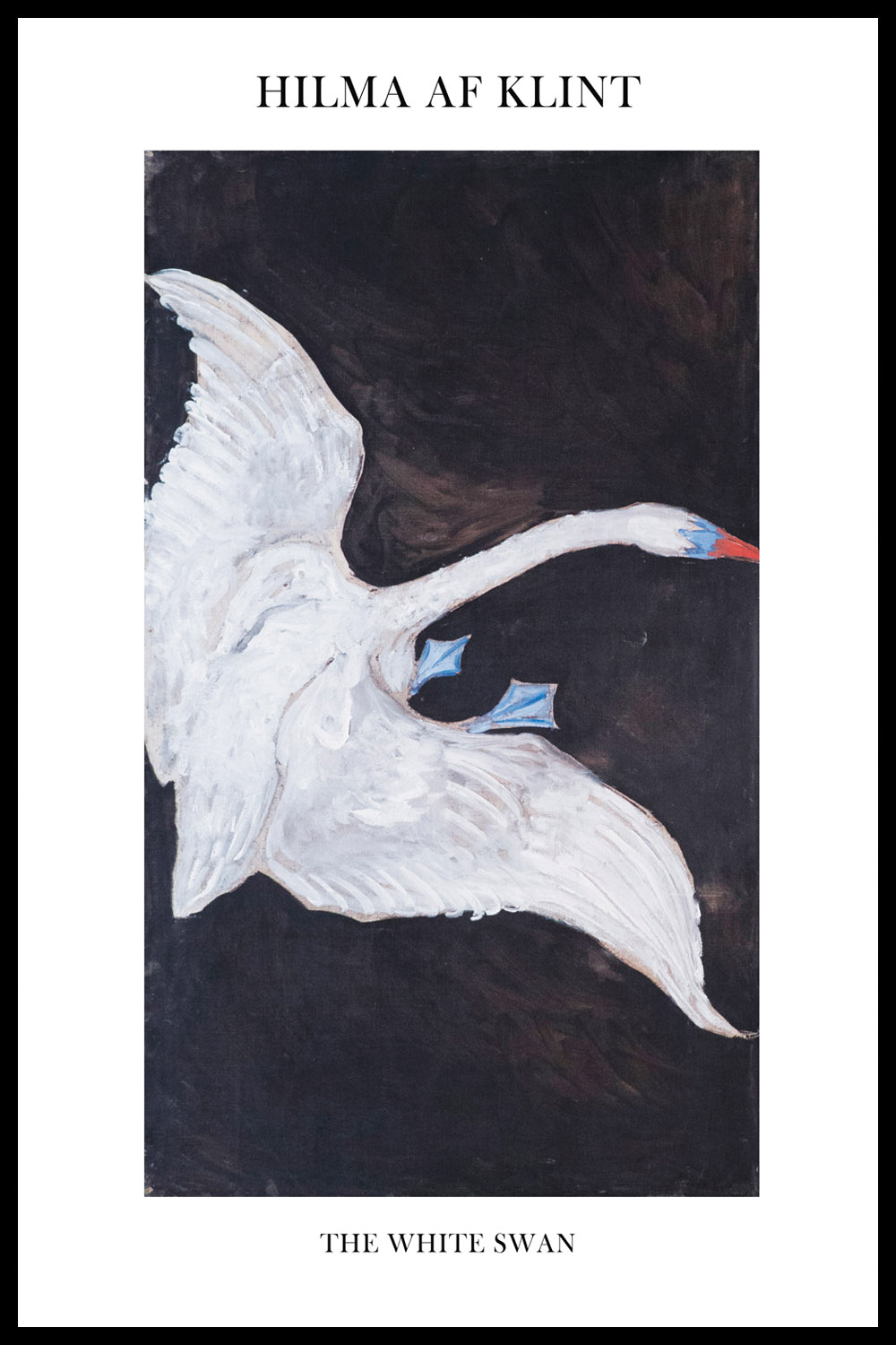 Постер The White Swan