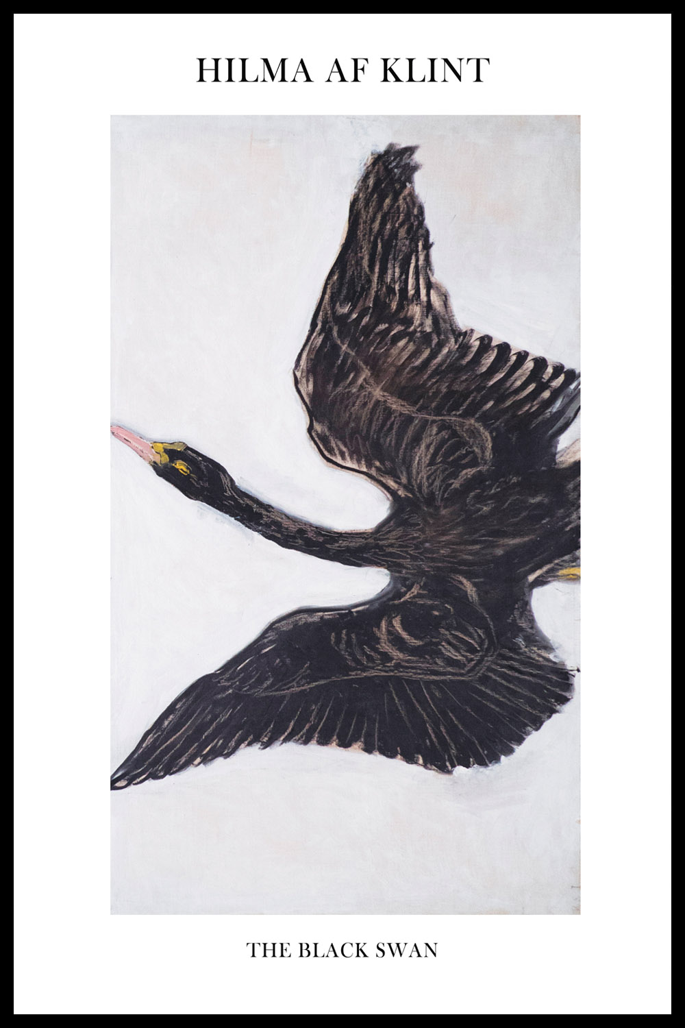 Постер The Black Swan